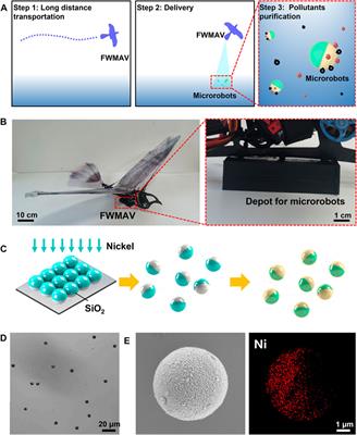 A Robot Platform for Highly Efficient Pollutant Purification